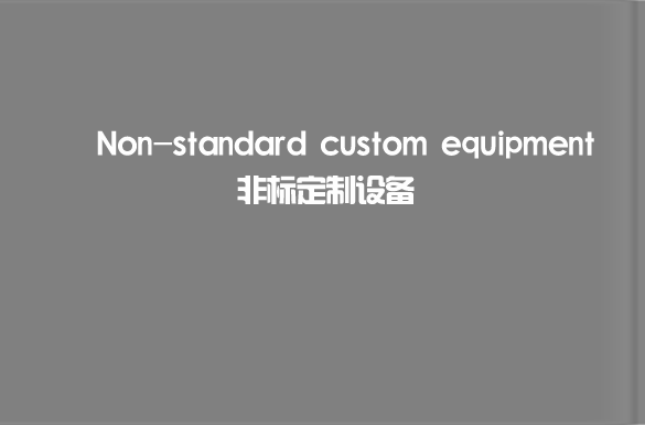非標(biāo)定制游樂(lè)設(shè)備