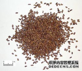 決明子-上海牧童游樂(lè)玩具有限公司