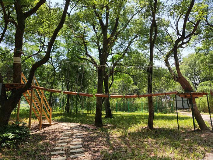 游樂設(shè)備品牌